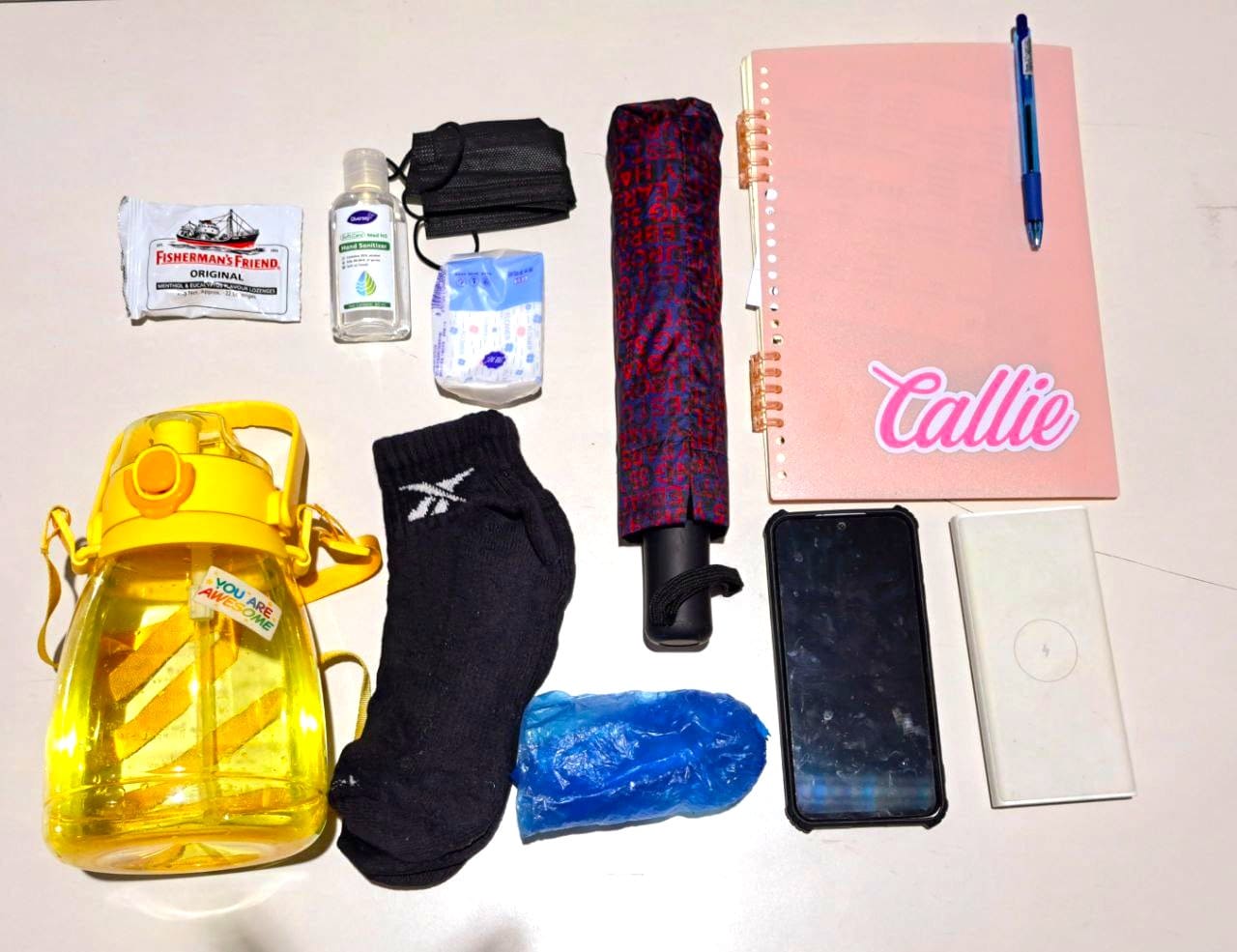 Social Work Day 2025 – What's inside a social worker’s bag 1 A view from the top on items in Callie's bag.