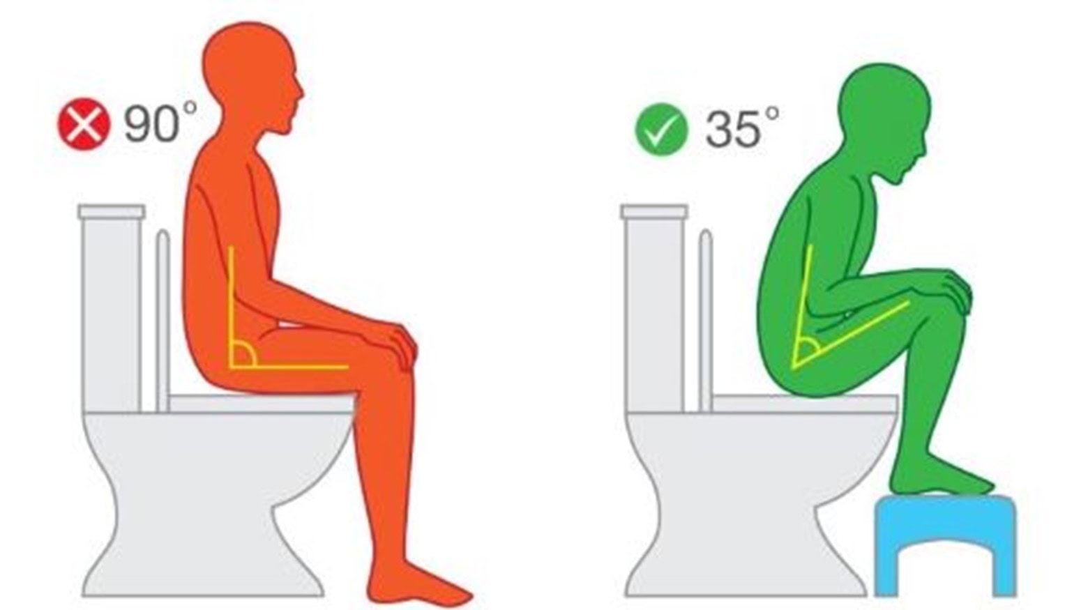 Posture for going to the toilet