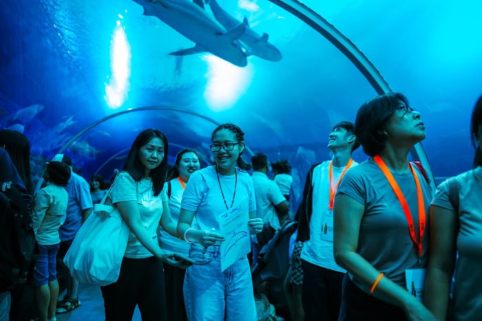 Building Worlds Together: How SPD and APB Singapore are Co-creating Inclusion 1 Participants in the transparent tunnel, 2 sharks are seen swimming above them.