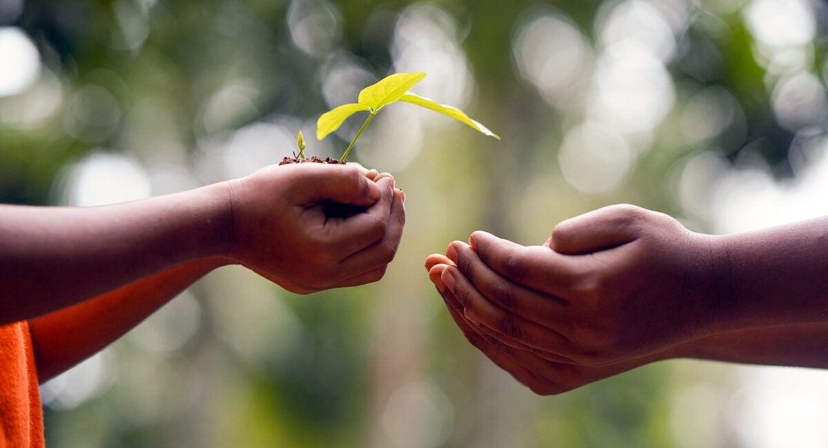 Planned Giving