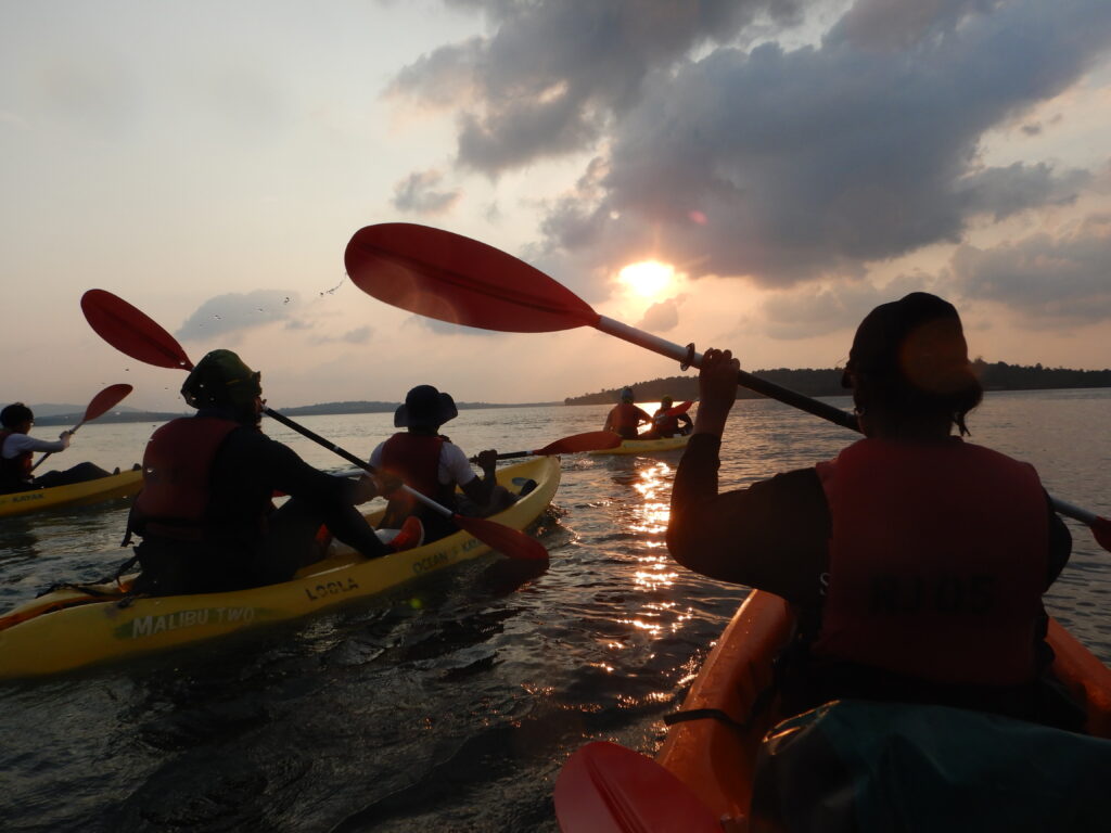 Back view of a group canoeing towards a sunset.